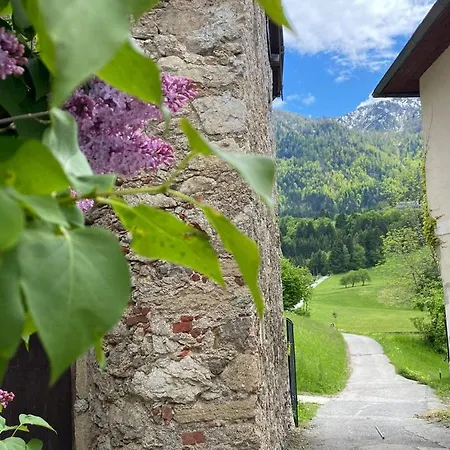 New Life * Latschach ober dem Faakersee