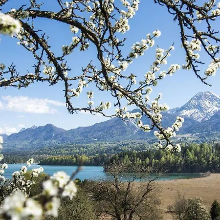 New Life Appartement *