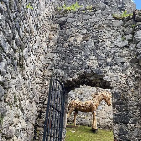 New Life Appartement *