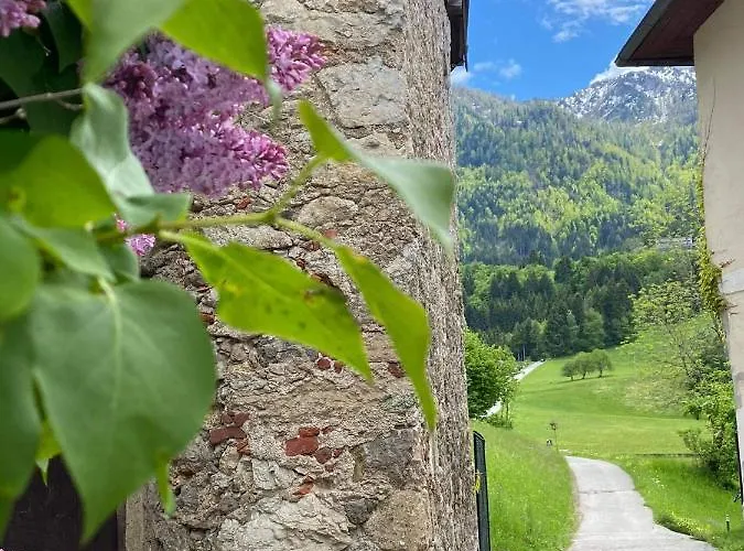 New Life * Latschach ober dem Faakersee