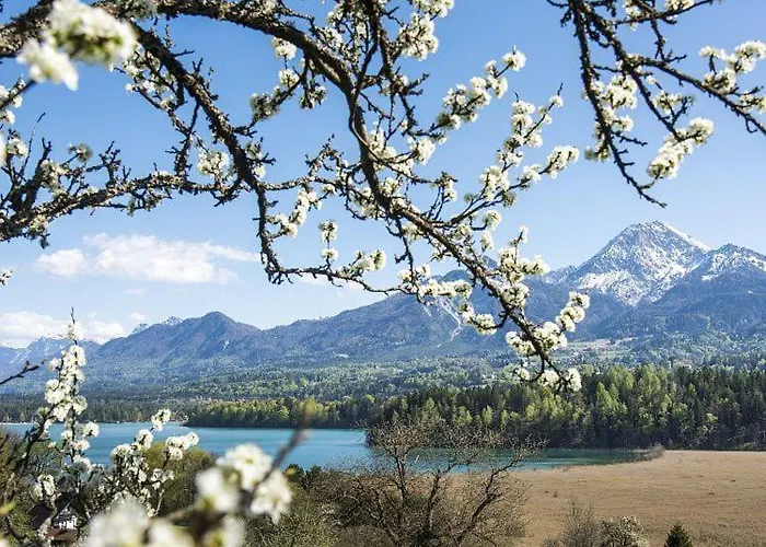 New Life Apartament *