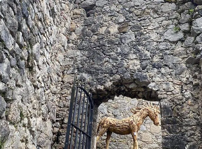 New Life Apartament *